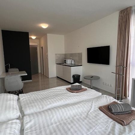 Air Conditioned 1 Room Apartment Vienna Gate, 2 布拉迪斯拉发 外观 照片